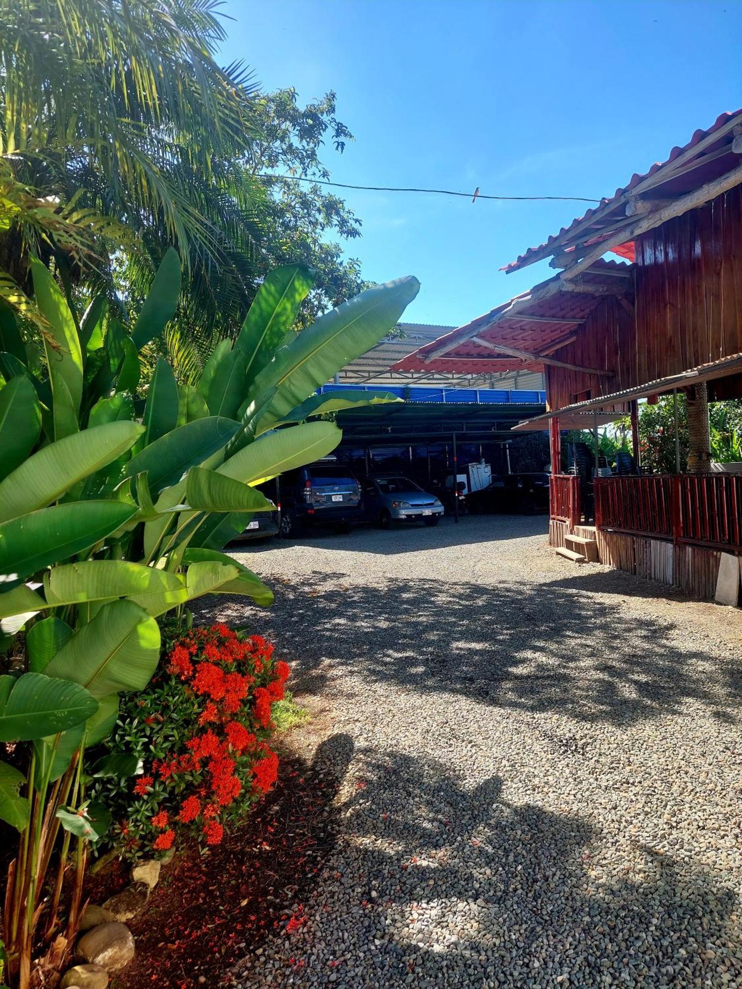 Hospedaje Quepos Exterior photo