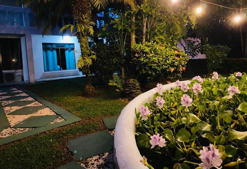Hospedaje Quepos Exterior photo